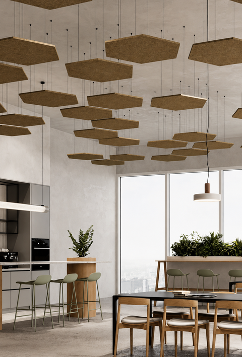 Ceiling Systems