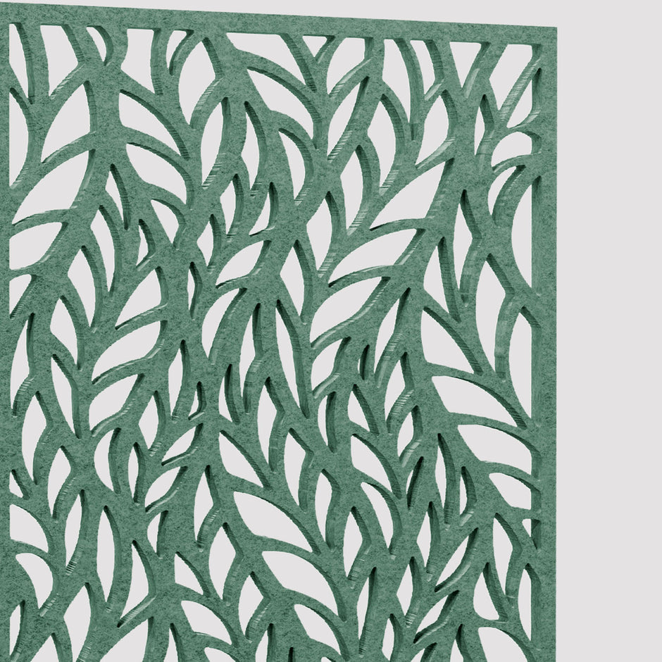 Fern