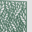 Fern