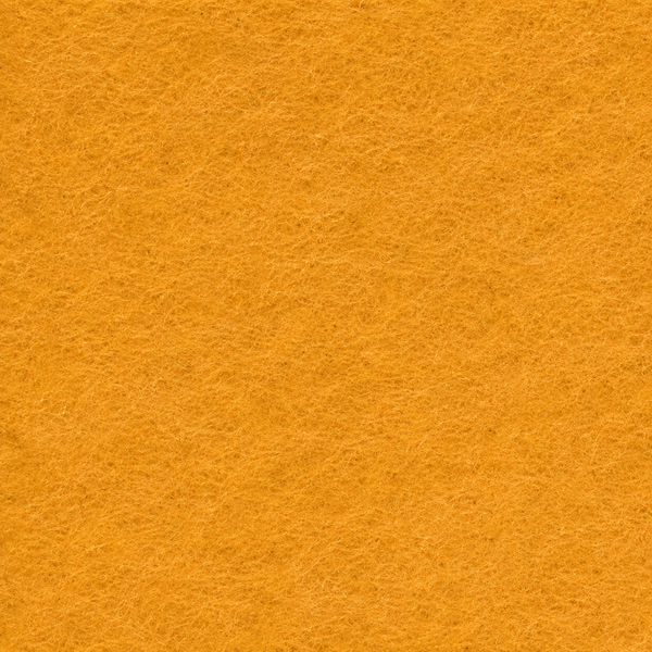 20 Camel